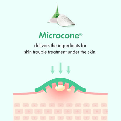 TGI PATCH Microcone Trouble Spot - Patches for Early Stage of Skin Trouble - Invisible (6pc) | Wholsale K-Beauty