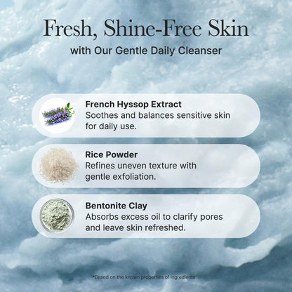 Arencia Fresh Blue Hyssop Rice Mochi Cleanser 4.23oz | Wholsale K-Beauty